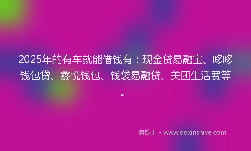2025年的有车就能借钱有:现金贷易融宝、哆哆钱包贷、鑫悦钱包、钱袋易融贷、美团生活费等。