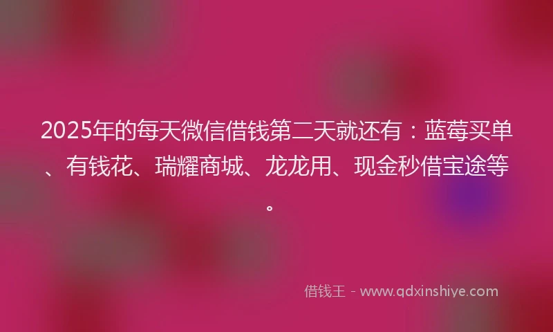 2025年的每天微信借钱第二天就还有:蓝莓买单、有钱花、瑞耀商城、龙龙用、现金秒借宝途等。