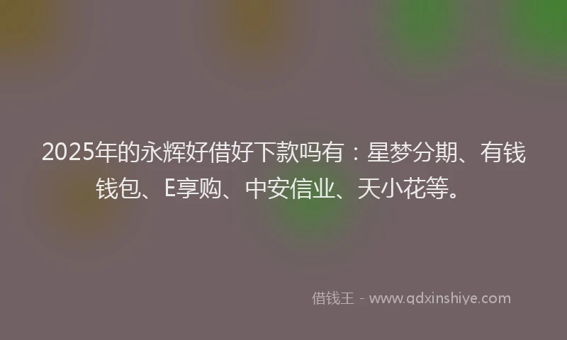 2025年的永辉好借好下款吗有：星梦分期、有钱钱包、E享购、中安信业、天小花等。