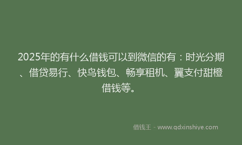 2025年的有什么借钱可以到微信的有：时光分期、借贷易行、快鸟钱包、畅享租机、翼支付甜橙借钱等。