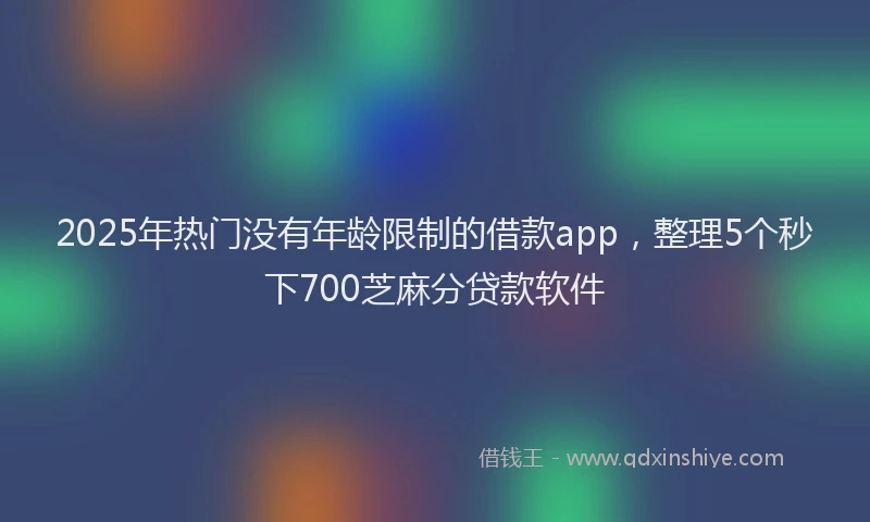 2025年热门没有年龄限制的借款app，整理5个秒下700芝麻分贷款软件