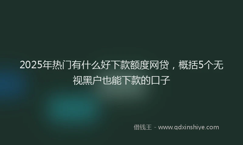 2025年热门有什么好下款额度网贷，概括5个无视黑户也能下款的口子