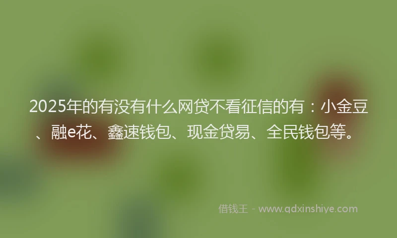 2025年的有没有什么网贷不看征信的有:小金豆、融e花、鑫速钱包、现金贷易、全民钱包等。