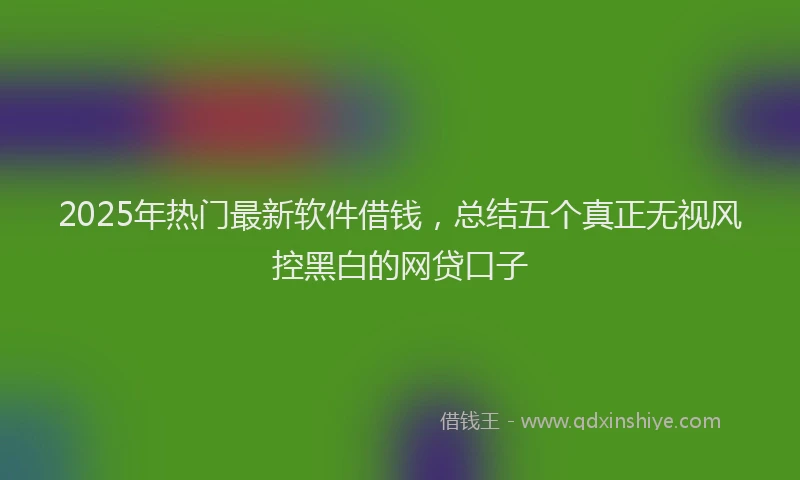 2025年热门最新软件借钱，总结五个真正无视风控黑白的网贷口子