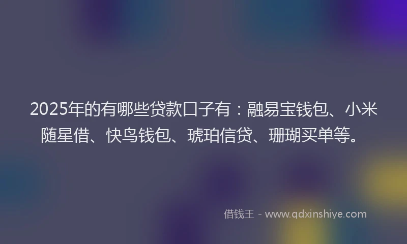 2025年的有哪些贷款口子有:融易宝钱包、小米随星借、快鸟钱包、琥珀信贷、珊瑚买单等。