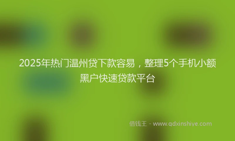 2025年热门温州贷下款容易,整理5个手机小额黑户快速贷款平台