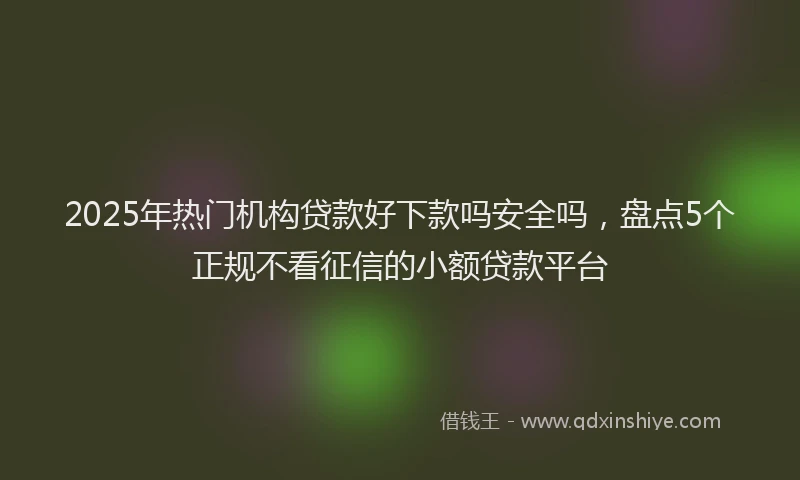 2025年热门机构贷款好下款吗安全吗，盘点5个正规不看征信的小额贷款平台