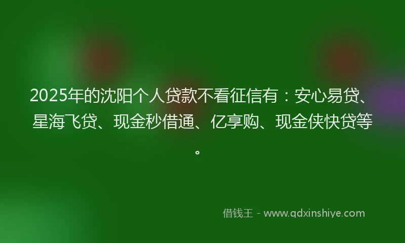 2025年的沈阳个人贷款不看征信有:安心易贷、星海飞贷、现金秒借通、亿享购、现金侠快贷等。