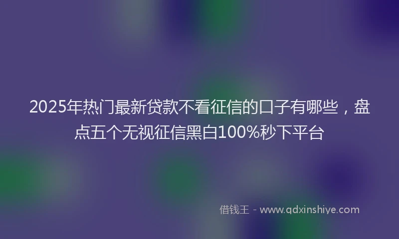 2025年热门最新贷款不看征信的口子有哪些，盘点五个无视征信黑白100%秒下平台
