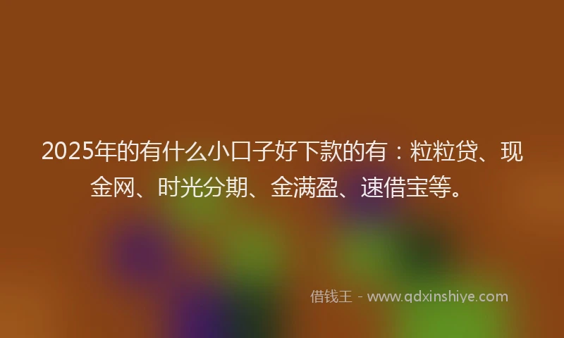 2025年的有什么小口子好下款的有：粒粒贷、现金网、时光分期、金满盈、速借宝等。