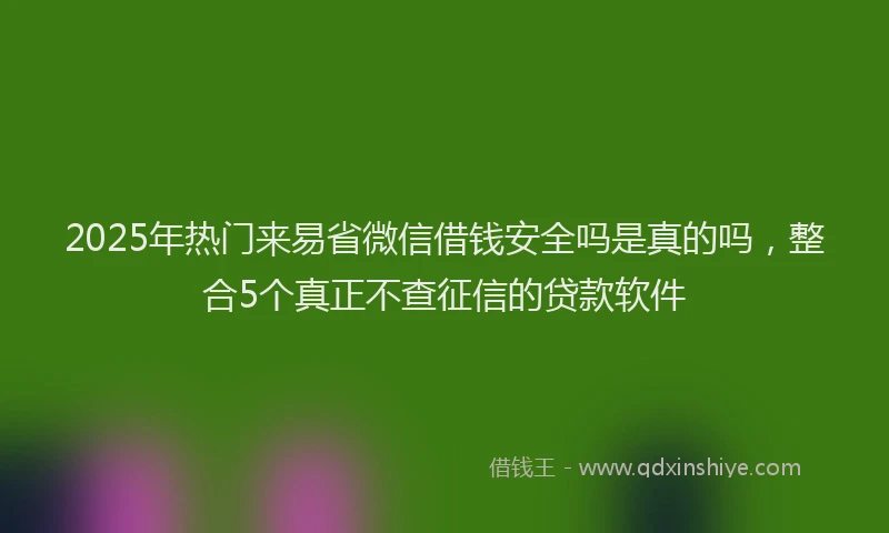 2025年热门来易省微信借钱安全吗是真的吗，整合5个真正不查征信的贷款软件