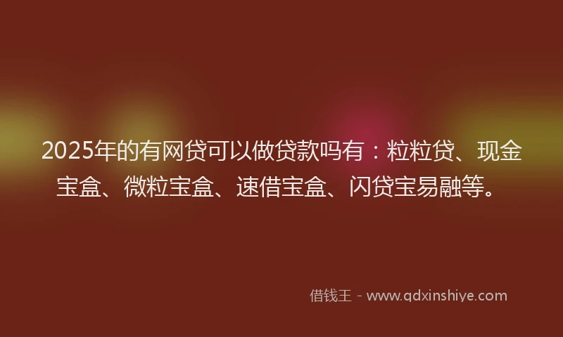 2025年的有网贷可以做贷款吗有：粒粒贷、现金宝盒、微粒宝盒、速借宝盒、闪贷宝易融等。