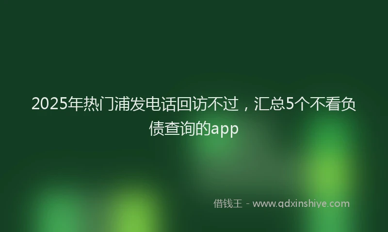 2025年热门浦发电话回访不过，汇总5个不看负债查询的app