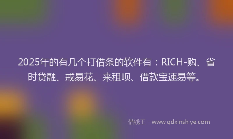 2025年的有几个打借条的软件有：RICH-购、省时贷融、戒易花、来租呗、借款宝速易等。