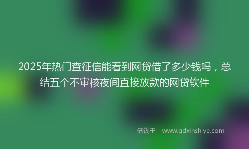 2025年热门查征信能看到网贷借了多少钱吗，总结五个不审核夜间直接放款的网贷软件