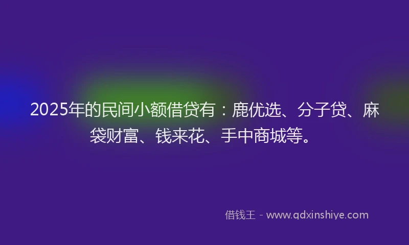 2025年的民间小额借贷有：鹿优选、分子贷、麻袋财富、钱来花、手中商城等。