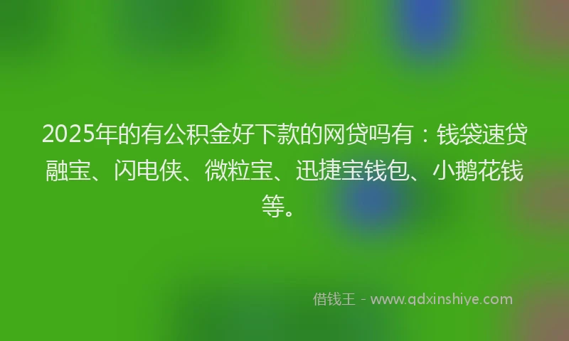 2025年的有公积金好下款的网贷吗有：钱袋速贷融宝、闪电侠、微粒宝、迅捷宝钱包、小鹅花钱等。