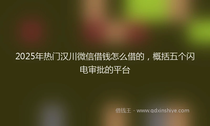 2025年热门汉川微信借钱怎么借的，概括五个闪电审批的平台