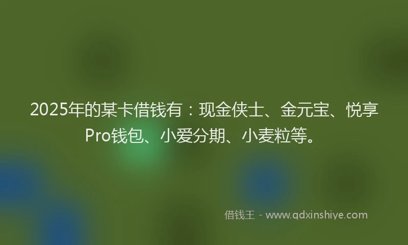2025年的某卡借钱有：现金侠士、金元宝、悦享Pro钱包、小爱分期、小麦粒等。