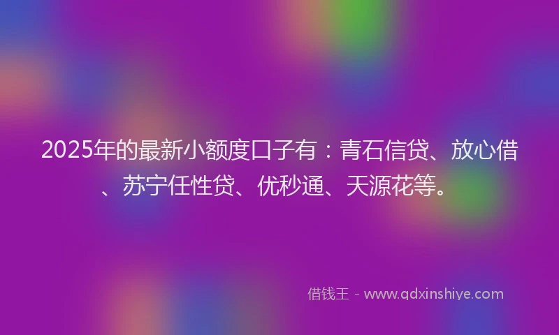 2025年的最新小额度口子有：青石信贷、放心借、苏宁任性贷、优秒通、天源花等。