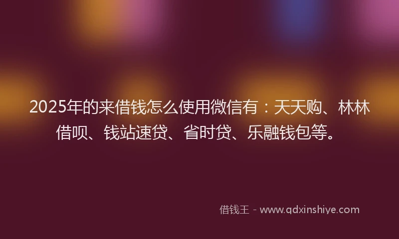 2025年的来借钱怎么使用微信有：天天购、林林借呗、钱站速贷、省时贷、乐融钱包等。