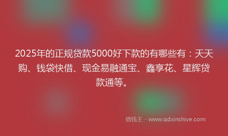 2025年的正规贷款5000好下款的有哪些有：天天购、钱袋快借、现金易融通宝、鑫享花、星辉贷款通等。