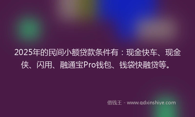 2025年的民间小额贷款条件有：现金快车、现金侠、闪用、融通宝Pro钱包、钱袋快融贷等。