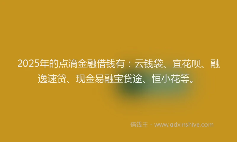 2025年的点滴金融借钱有：云钱袋、宜花呗、融逸速贷、现金易融宝贷途、恒小花等。