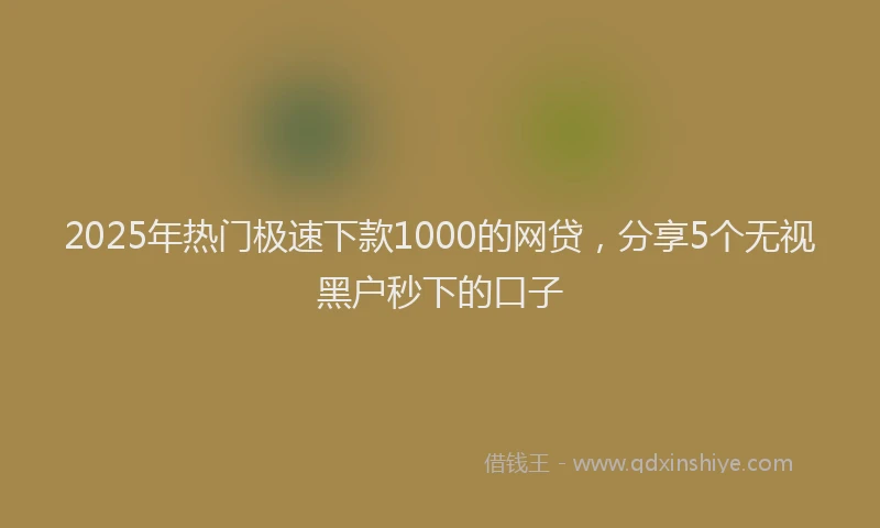 2025年热门极速下款1000的网贷，分享5个无视黑户秒下的口子