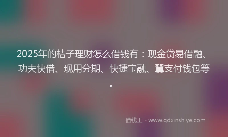 2025年的桔子理财怎么借钱有：现金贷易借融、功夫快借、现用分期、快捷宝融、翼支付钱包等。