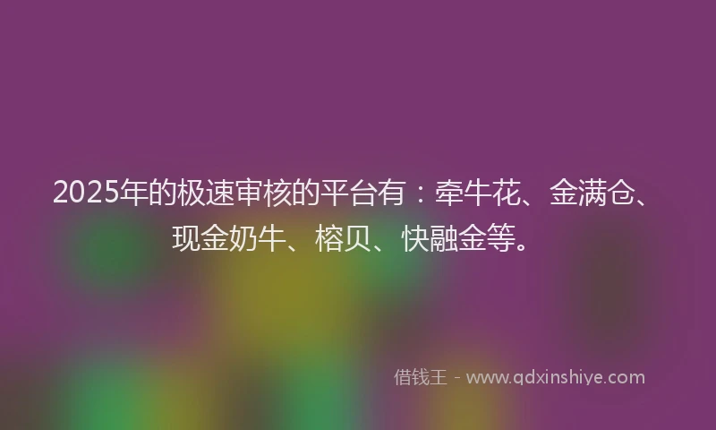 2025年的极速审核的平台有：牵牛花、金满仓、现金奶牛、榕贝、快融金等。