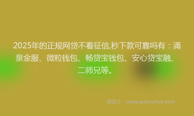 2025年的正规网贷不看征信,秒下款可靠吗有：涌泉金服、微粒钱包、畅贷宝钱包、安心贷宝融、二师兄等。