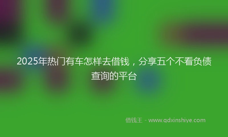 2025年热门有车怎样去借钱，分享五个不看负债查询的平台