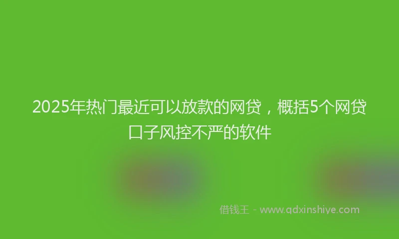 2025年热门最近可以放款的网贷，概括5个网贷口子风控不严的软件