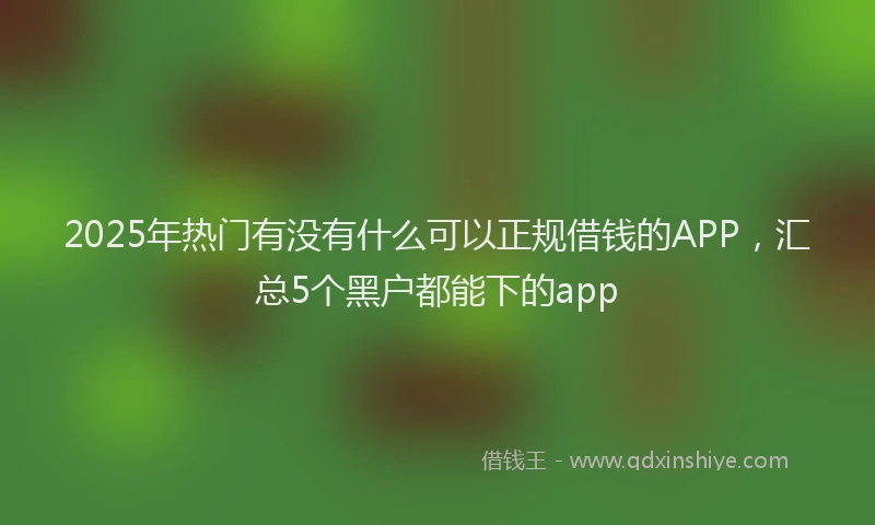 2025年热门有没有什么可以正规借钱的APP，汇总5个黑户都能下的app