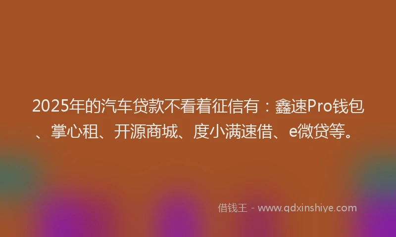 2025年的汽车贷款不看着征信有：鑫速Pro钱包、掌心租、开源商城、度小满速借、e微贷等。