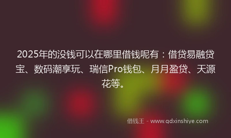 2025年的没钱可以在哪里借钱呢有：借贷易融贷宝、数码潮享玩、瑞信Pro钱包、月月盈贷、天源花等。