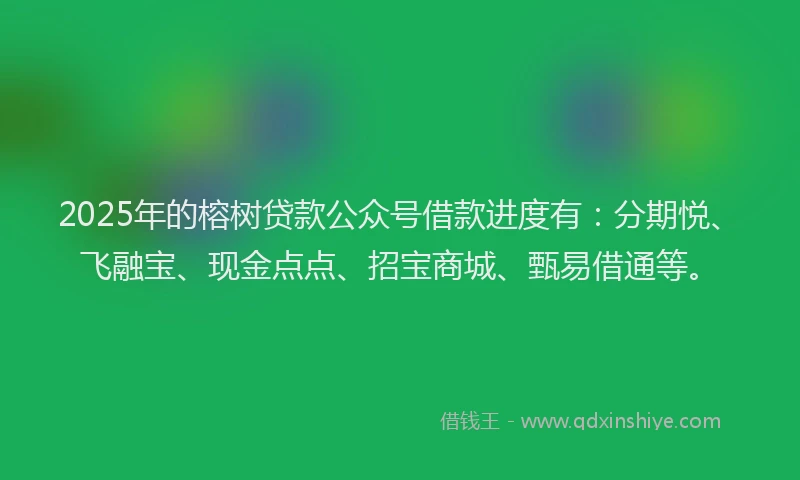 2025年的榕树贷款公众号借款进度有：分期悦、飞融宝、现金点点、招宝商城、甄易借通等。