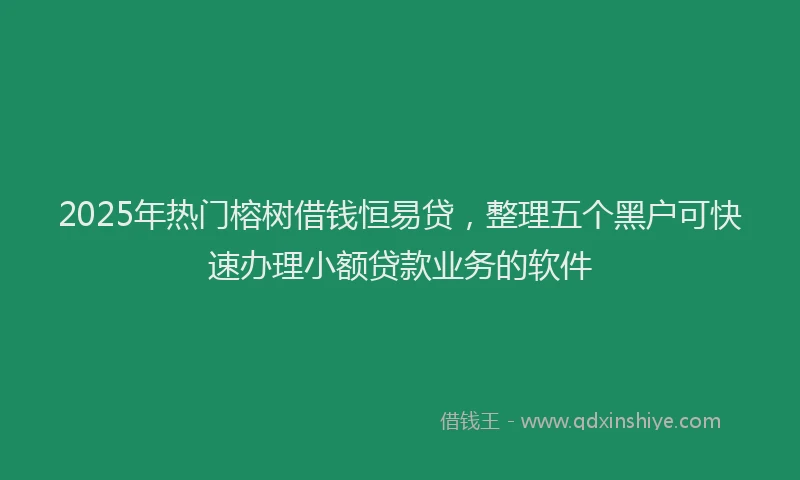 2025年热门榕树借钱恒易贷，整理五个黑户可快速办理小额贷款业务的软件