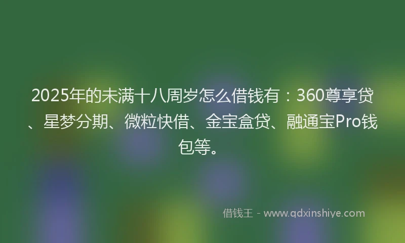 2025年的未满十八周岁怎么借钱有:360尊享贷、星梦分期、微粒快借、金宝盒贷、融通宝Pro钱包等。