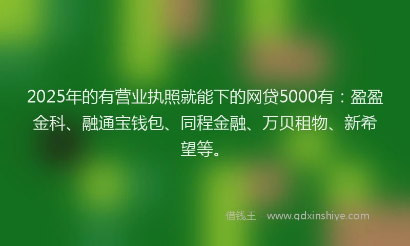 2025年的有营业执照就能下的网贷5000有：盈盈金科、融通宝钱包、同程金融、万贝租物、新希望等。
