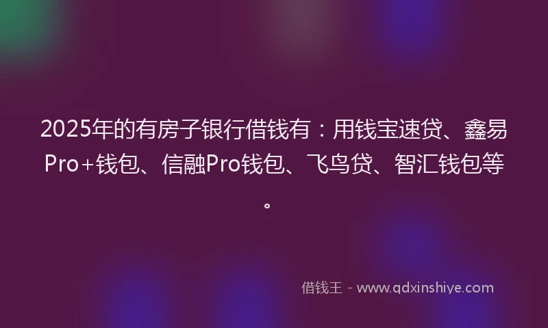 2025年的有房子银行借钱有：用钱宝速贷、鑫易Pro+钱包、信融Pro钱包、飞鸟贷、智汇钱包等。