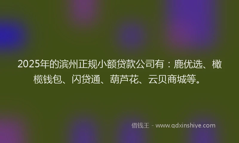 2025年的滨州正规小额贷款公司有：鹿优选、橄榄钱包、闪贷通、葫芦花、云贝商城等。