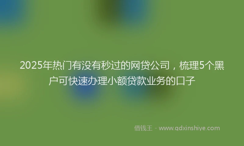 2025年热门有没有秒过的网贷公司，梳理5个黑户可快速办理小额贷款业务的口子
