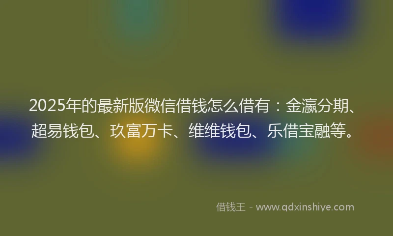 2025年的最新版微信借钱怎么借有：金瀛分期、超易钱包、玖富万卡、维维钱包、乐借宝融等。