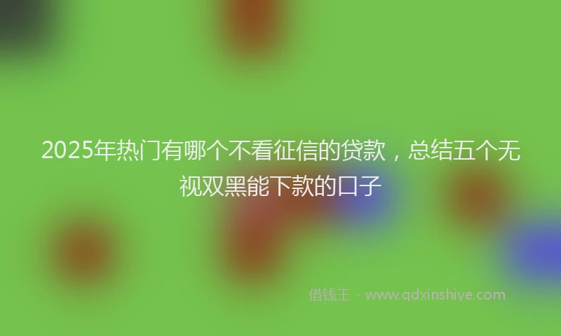 2025年热门有哪个不看征信的贷款，总结五个无视双黑能下款的口子