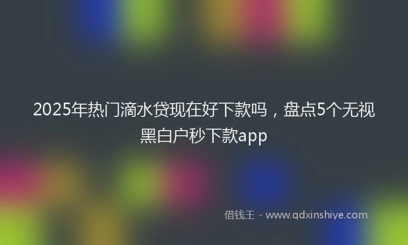 2025年热门滴水贷现在好下款吗，盘点5个无视黑白户秒下款app
