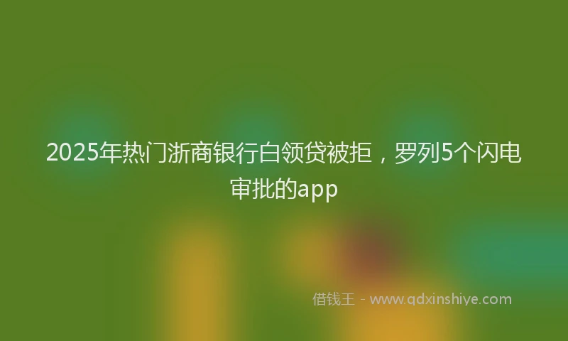 2025年热门浙商银行白领贷被拒，罗列5个闪电审批的app