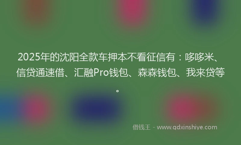 2025年的沈阳全款车押本不看征信有：哆哆米、信贷通速借、汇融Pro钱包、森森钱包、我来贷等。