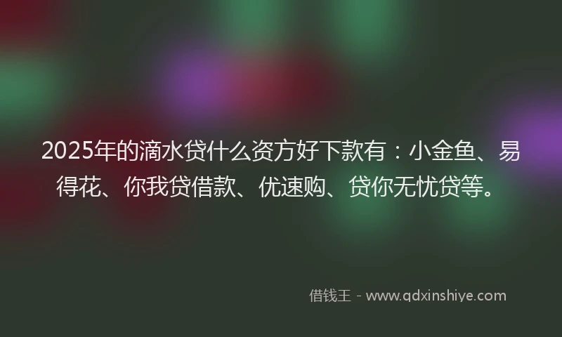 2025年的滴水贷什么资方好下款有：小金鱼、易得花、你我贷借款、优速购、贷你无忧贷等。